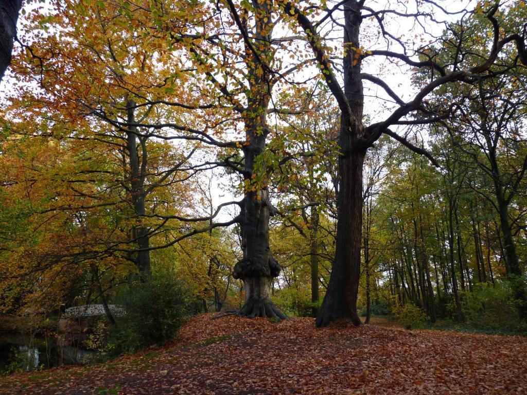 Eremyten Hof Evergem Dış mekan fotoğraf